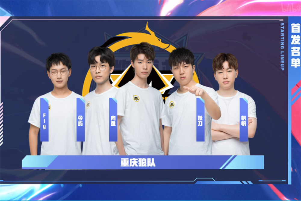 方案